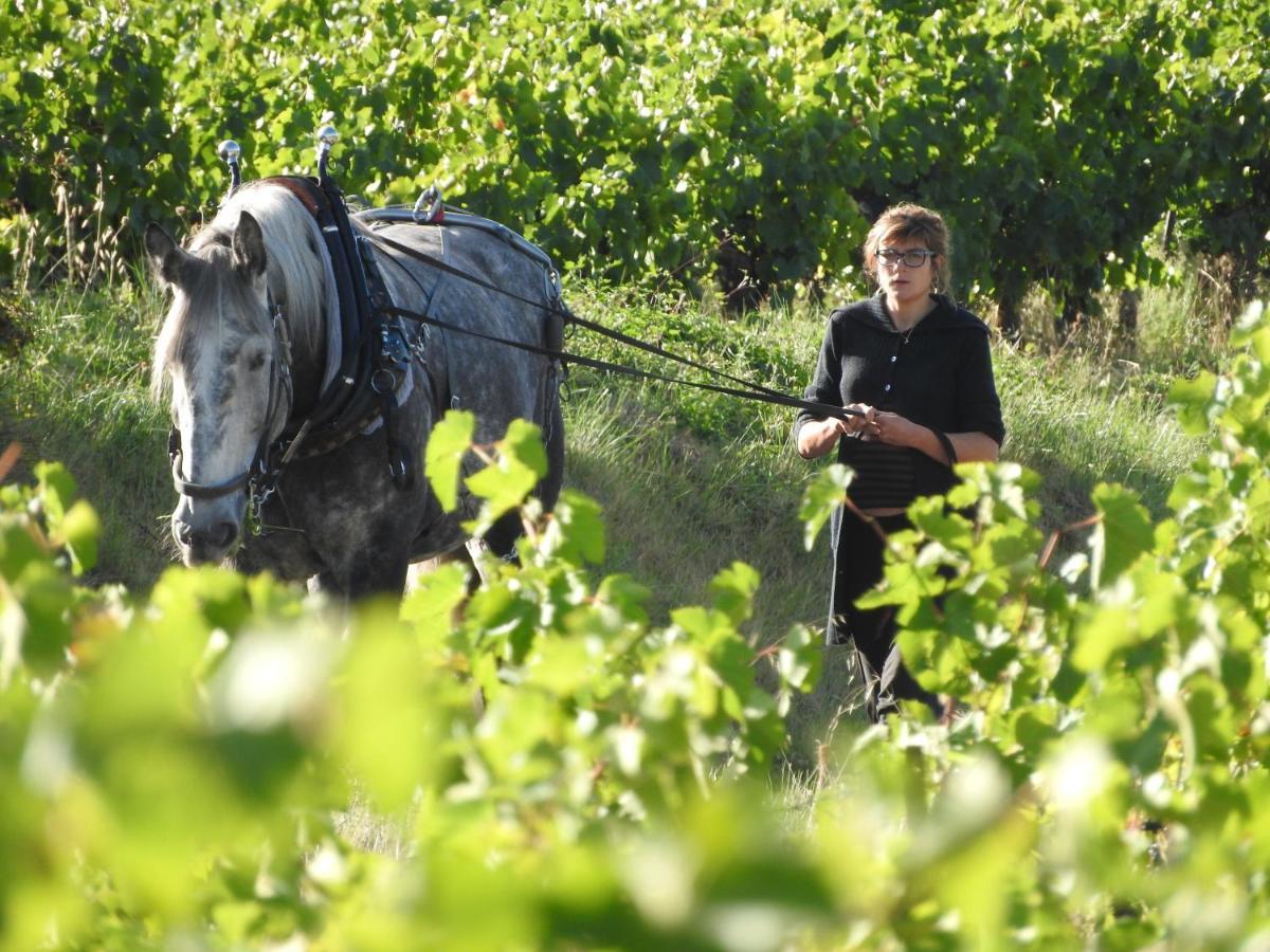 Domaine Houillon Hotell Faucon  Eksteriør bilde